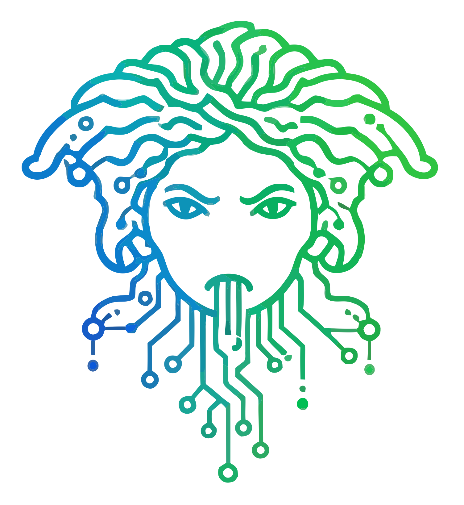 Medusse IoT Platform